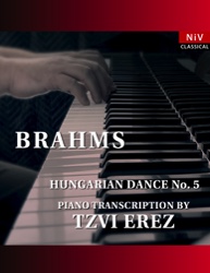 Brahms piano cover